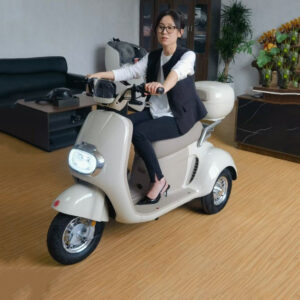 Xe-dien-3-banh-ZABO-M10-chinh-hang-01